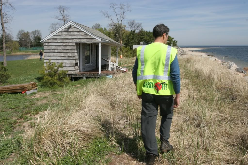 4/26/05, Center Island. For a SLI story by Linda Burghardt. Joe Evans is seen looking for nesting geese on the Seacroft Estate. Photo: Phil Marino